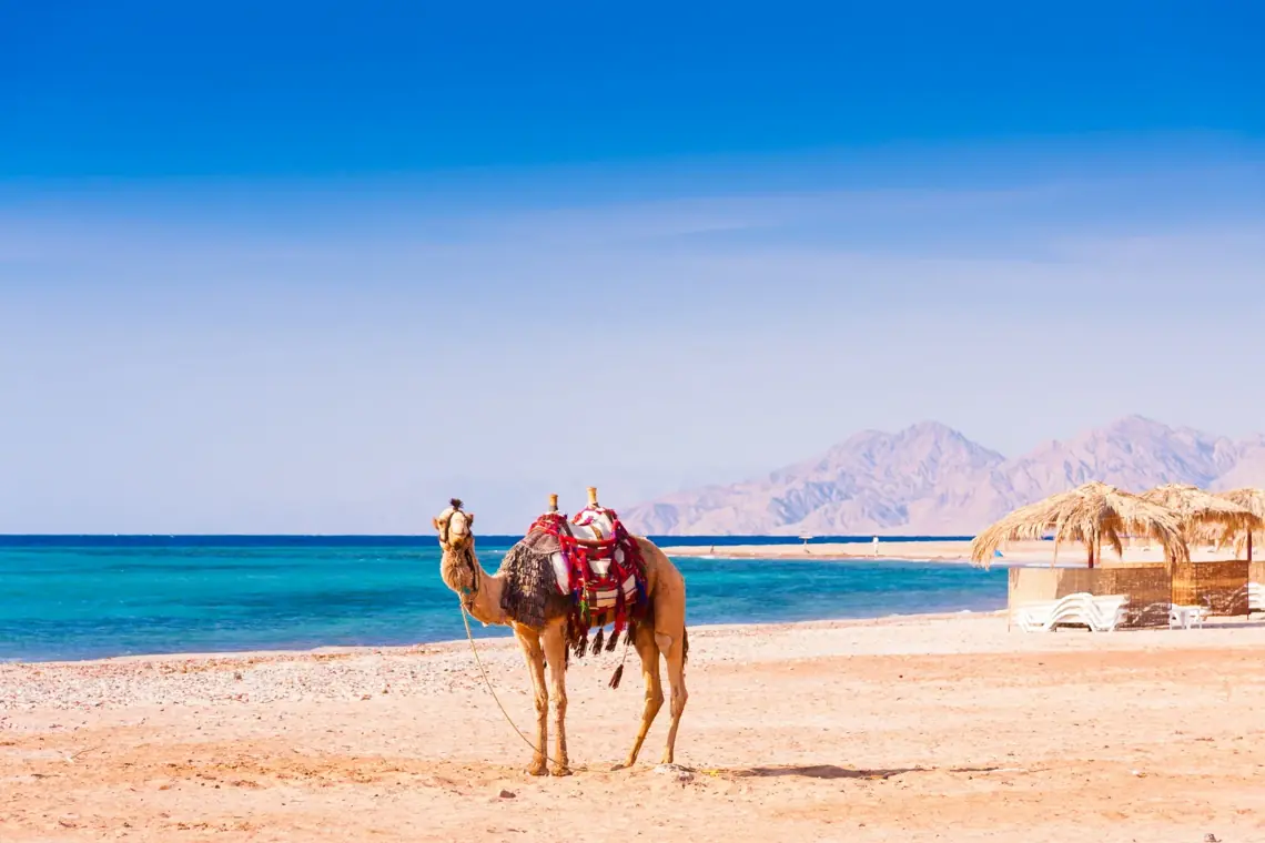 15-day Egypt Tour: Pyramids to Nile Cruise