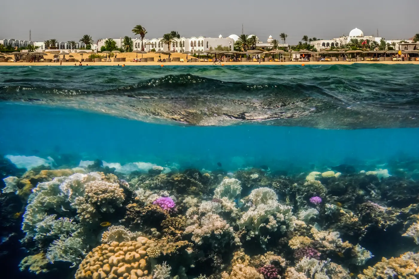 Makadi Bay Snorkeling