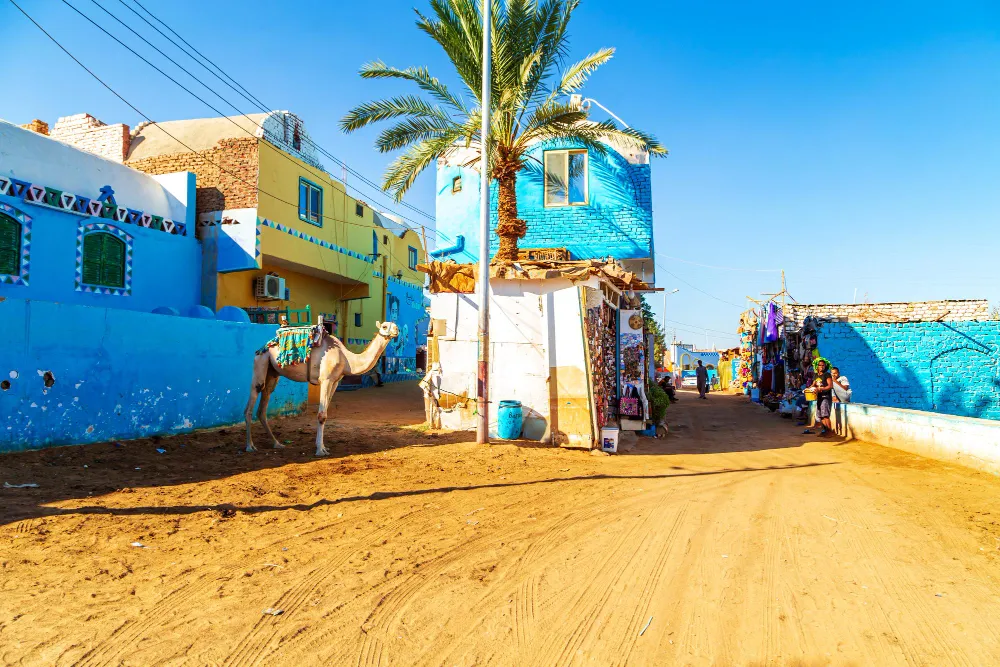 Full day Aswan day tour
